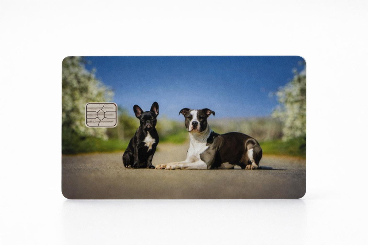 Credit Card Custom Sticker - Unique Bank Card Skin  Cute Dog / Motorcycle / Bikini Design  Debit Card Sticker  Contactless Card Cover